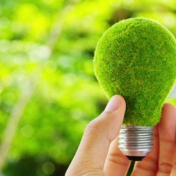 Зеленый офис