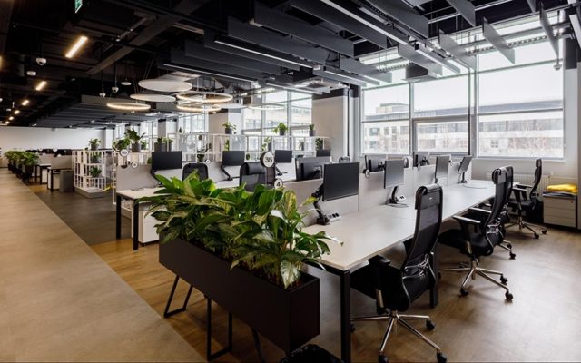 Современный open space ИТ-хаба с рабочими местами, переговорными зонами и растениями