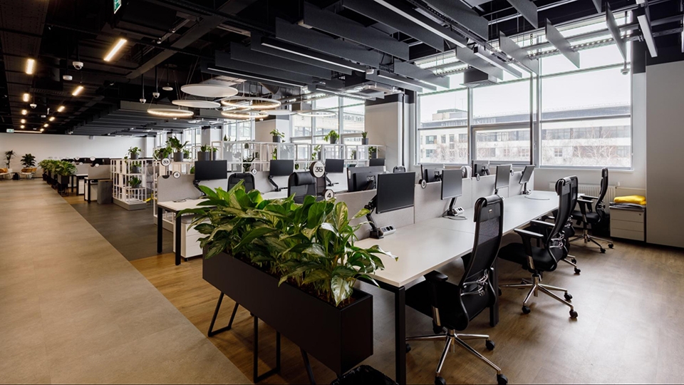 Современный open space ИТ-хаба с рабочими местами, переговорными зонами и растениями